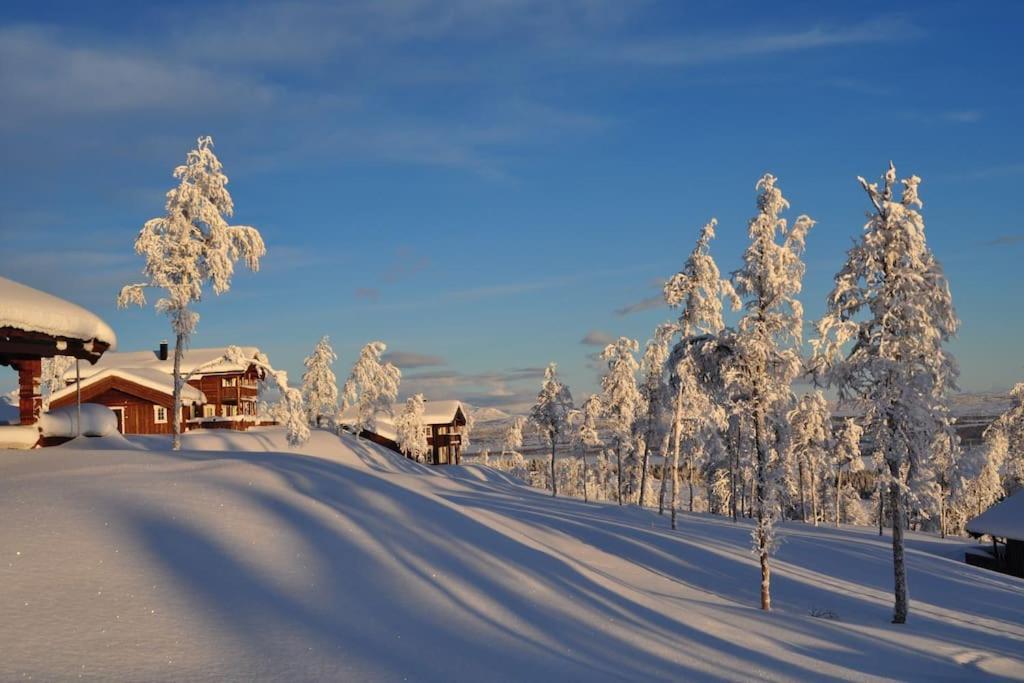 Flott Fritidsleilighet I Bualie Pa Golsfjellet Dış mekan fotoğraf