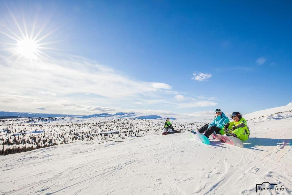 Flott Fritidsleilighet I Bualie Pa Golsfjellet Dış mekan fotoğraf