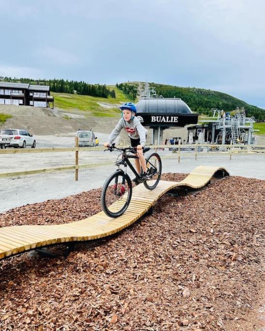Flott Fritidsleilighet I Bualie Pa Golsfjellet Dış mekan fotoğraf